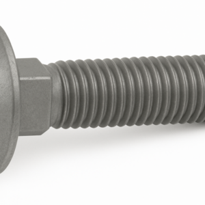 M10x35 TAMPON CIVATASI DIN 603 8.8 - Geomet Kapl.
